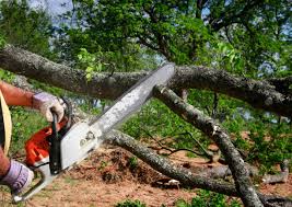 Landscape Design and Installation in Edgerton, WI