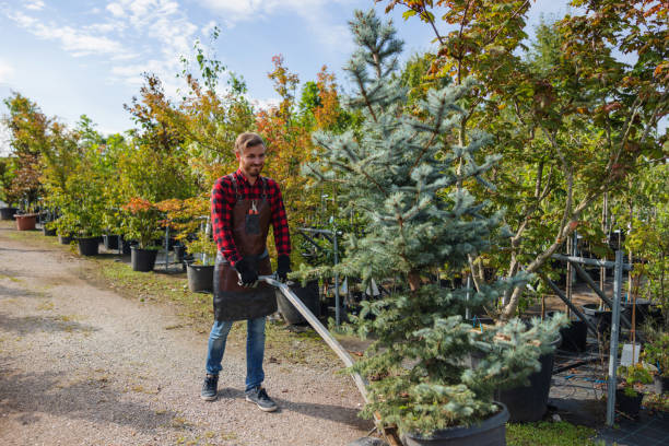 Why Choose Our Tree Removal Services in Edgerton, WI?